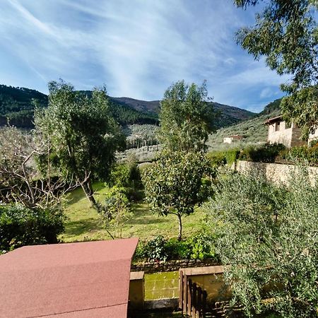 Podere Di Mero Casolare Buti المظهر الخارجي الصورة